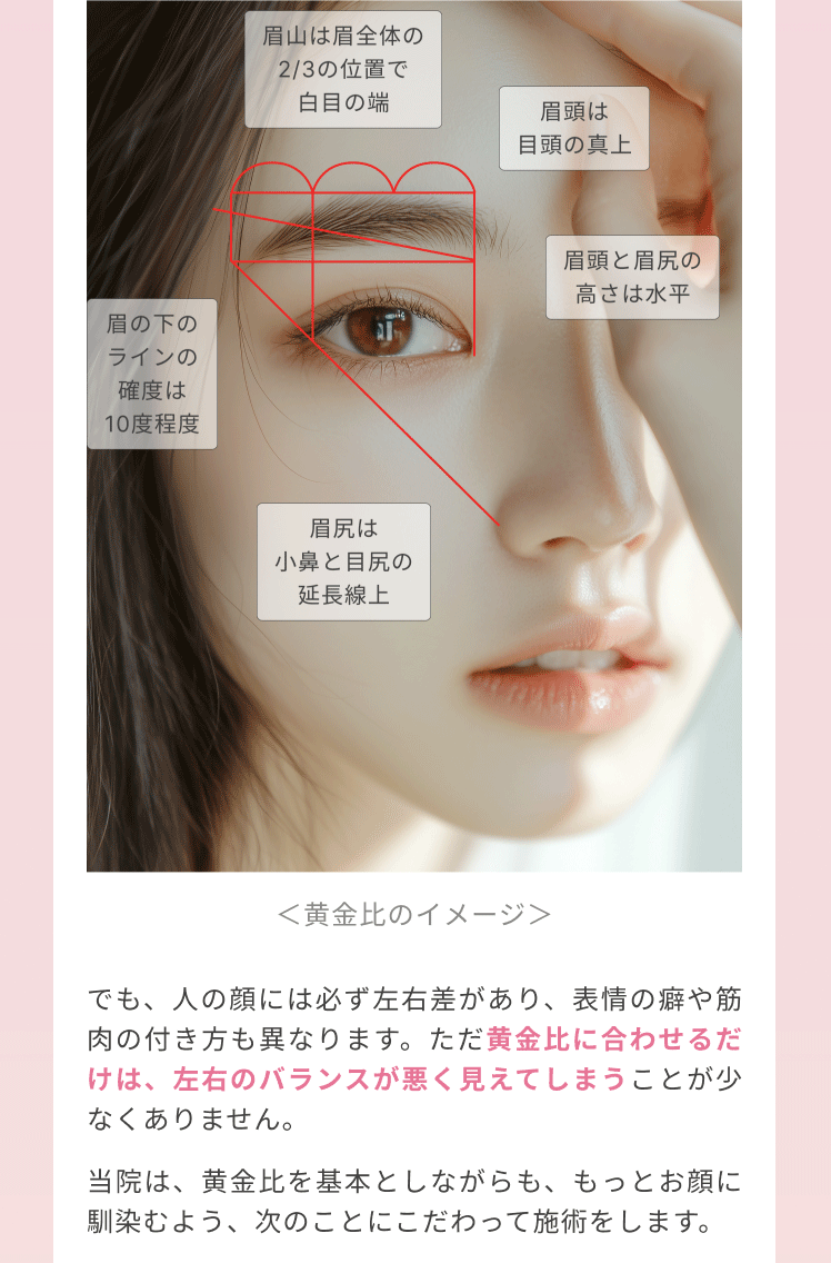 ＜黄金比のイメージ＞
