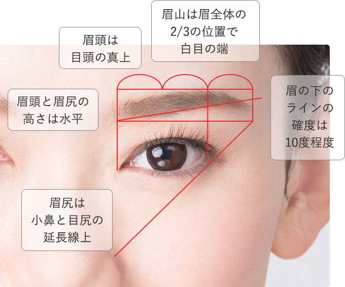 眉山は眉全体の2/3の位置で白目の端 眉頭は目頭の真上 眉頭と眉尻の高さは水平 眉尻は小鼻と目尻の延長線上 眉の下のラインの確度は10度程度